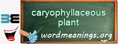 WordMeaning blackboard for caryophyllaceous plant